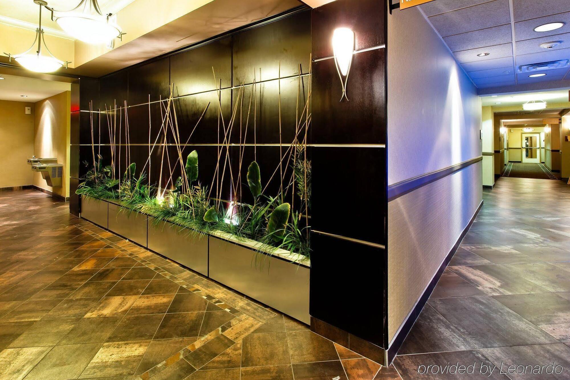Holiday Inn Express Hotel & Suites Dallas South - Desoto By Ihg Extérieur photo